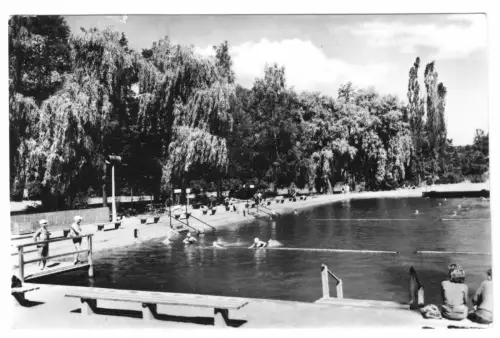 AK, Aschersleben, Städtisches Freibad, belebt, 1959