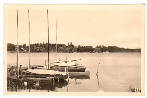 AK, Ferch Kr. Potsdam, Schwielowsee, Steganlage mit Booten, 1958