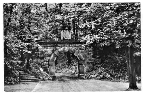 AK, Senftenberg Niederlausitz, Im Stadtpark, 1961