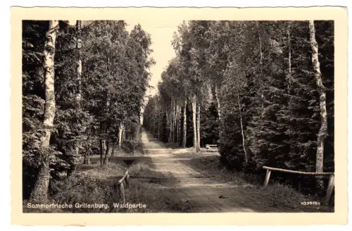 AK, Grillenburg, Waldpartie, 1957