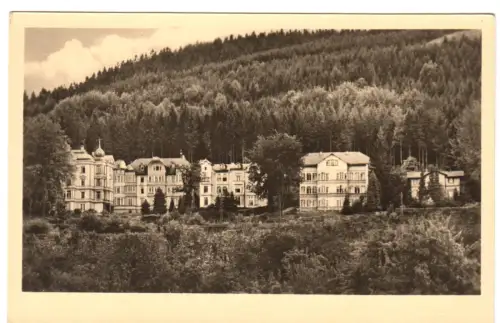 AK, Friedrichroda Thür., Büchig-Promenade, 1955