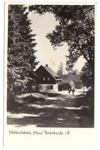 AK, Grünheide Vogtl., Waldschänke "Hess", um 1958