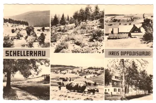 AK, Schellerhau Kr. Dippoldiswalde, sechs Abb., u.a. Heuernte, 1961