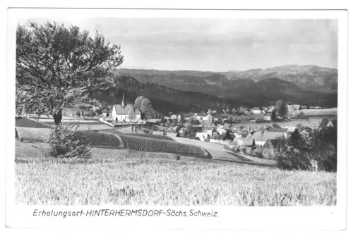 AK, Hinterhermsdorf Sächs. Schweiz, Gesamtansicht, 1960