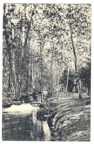 AK, Berkenbrück a.d. Spree, Partie im Beerenbusch, 1912