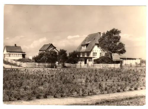 AK, Ostseebad Dierhagen, Kr. Ribnitz-Damgarten, Straßenpartie, 1966