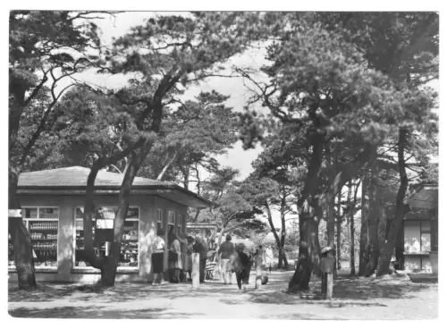 AK, Ostseebad Dierhagen, Kr. Ribnitz-Damgarten, Ladenstraße am Strand, 1973