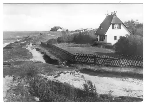 AK, Ostseebad Ahrenshoop, Kr. Ribnitz-Damgarten, Häuser an der Steilküste, 1968