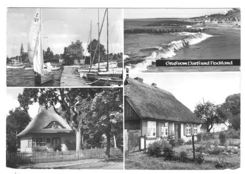 AK, Gruß von Darß und Fischland, Kr. Ribnitz-Damgarten, vier Abb., 1984