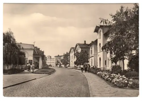 AK, Bad Doberan, OT Heiligendamm, Straßenpartie mit Villen, 1964