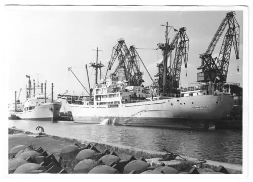 Foto im AK-Format, Wismar, Partie im Hafen mit MS "Thälmann-Pionier", um 1965