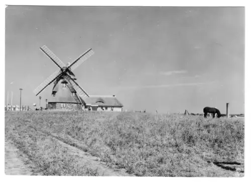 AK, Groß Stieten Kr. Wismar, Gastst. Mecklenburger Mühle, Totale, Vers. 2,  1974