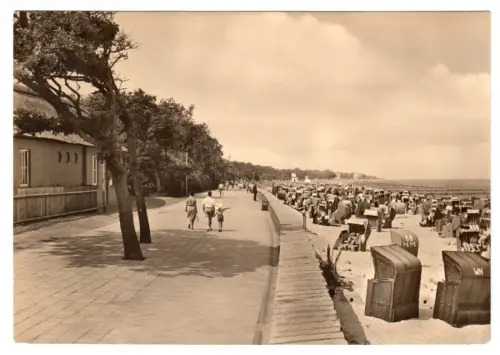 AK, Kühlungsborn Kr. Bad Doberan, Strandpromenade und Strand, 1965
