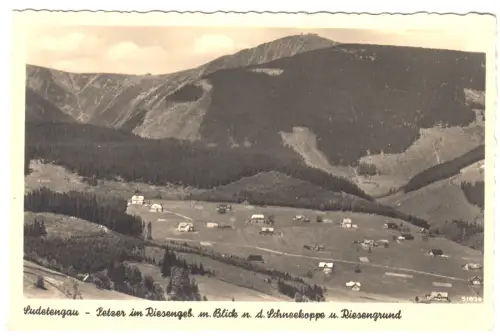 AK, Petzer im Riesengebirge, Pec pod Sněžkou, Totale mit Schneekoppe, 1941
