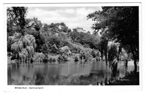 AK, Witten Ruhr, Partie am Hammerteich, 1954