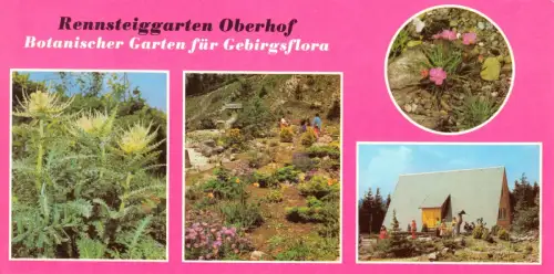 AK lang, Oberhof Thür. Wald, Rennsteiggarten, vier Abb., 1981