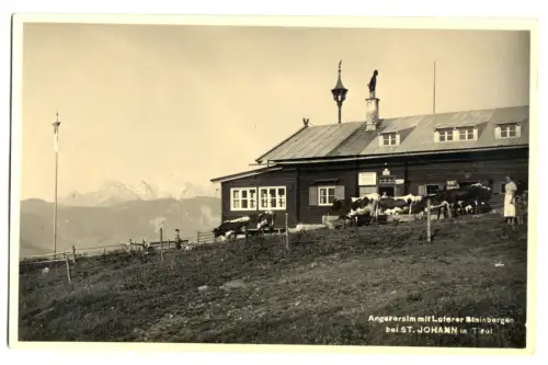 AK, St. Johann in Tirol, Alpengasthof Angereralm, belebt, Rinder, um 1936