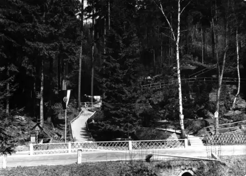 AK, Waschleite Erzgeb., Heimatecke, beflaggt, 1970