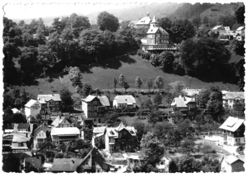 AK, Schwarzburg Thür., Teilansicht, Echtfoto, 1960