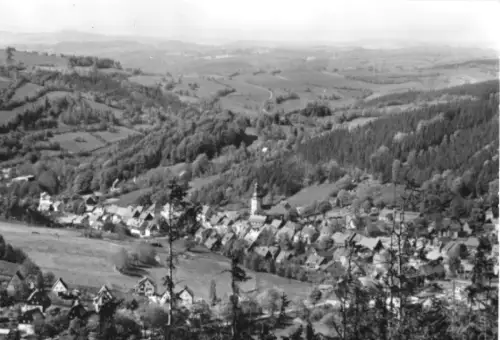 AK, Geising Erzgeb., Teilansicht, 1981
