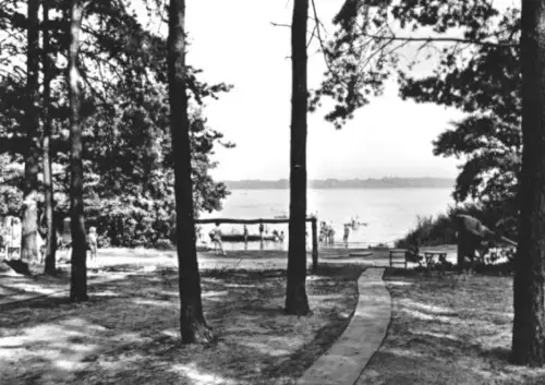 AK, Zaue Kr. Lübben, Am Schwielochsee, 1967