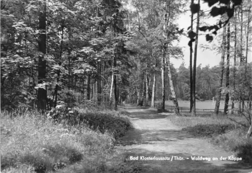 AK, Bad Klosterlausnitz, Waldweg an der Köppe, 1972