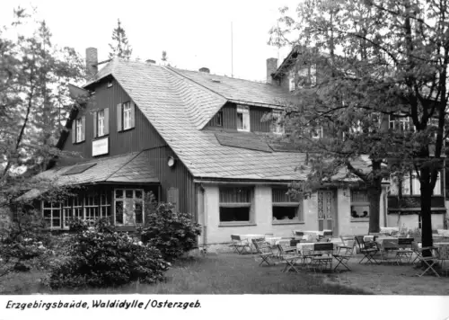 AK, Waldidylle Osterzgeb., Erzgebirgsbaude, 1966