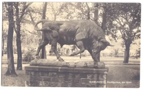 AK, Karlsruhe, Stier im Stadtgarten, Echtfoto 1924
