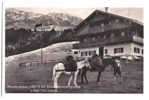 AK, Blomberghaus bei Bad Tölz, belebt, Packpferde, 1943
