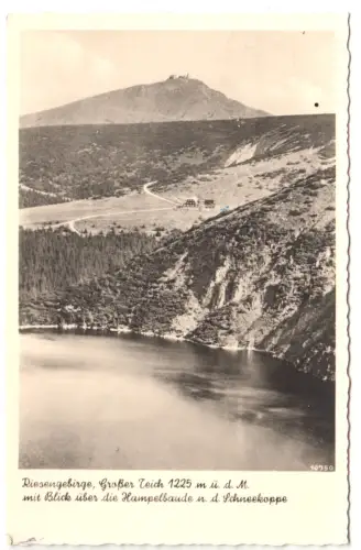 AK, Riesengebirge, Großer Teich mit Bl. über d. Hampelbaude z. Schneekoppe, 1940