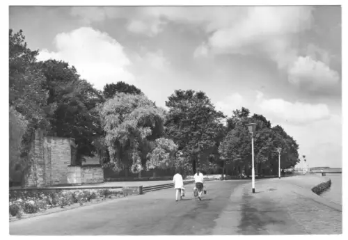 AK, Stralsund, Ernst-Thälmann-Ufer mit Denkmal, 1974