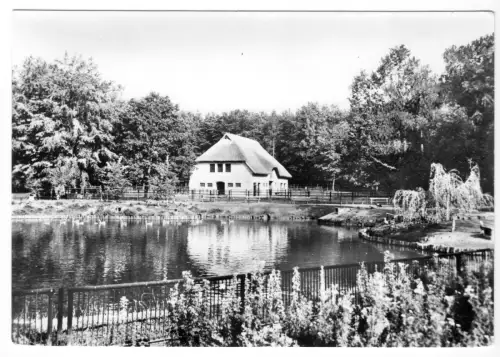 AK, Stralsund, Partie im Tierpark, 1975