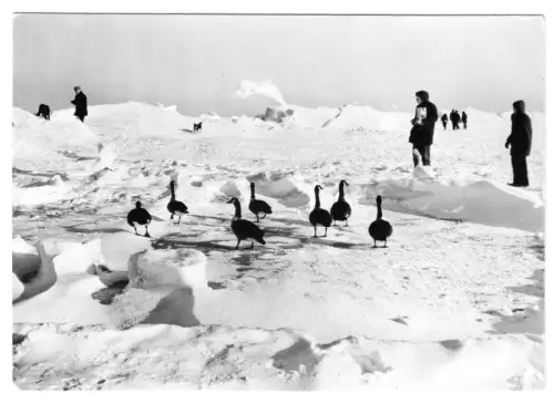 AK, Ostseeküste, vermutlich Usedom, Winterstimmung am Meer, Version 4, 1981