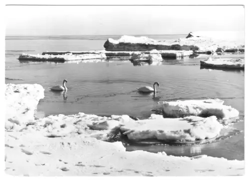AK, Ostseeküste, vermutlich Usedom, Winterstimmung am Meer, Version 3, 1981