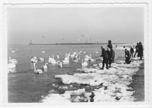 AK, Rostock Warnemünde, Blick vom Strand zur Mole, Winteransicht, belebt, 1980