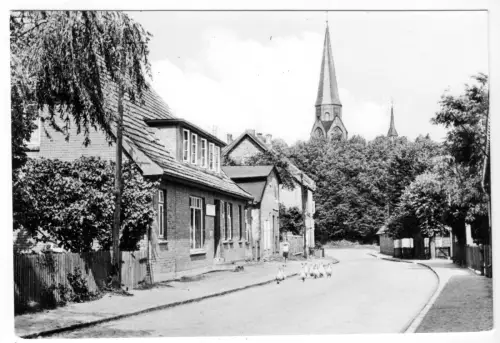 AK, Vellahn Meckl., Straßenpartie mit Kirche, Gänse, 1973