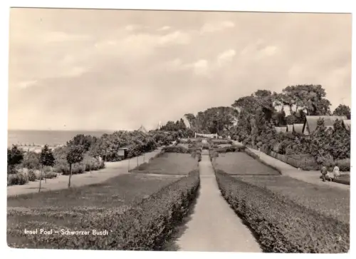 AK, Insel Poel, Schwarzer Busch, Promenade, Version 1, 1965
