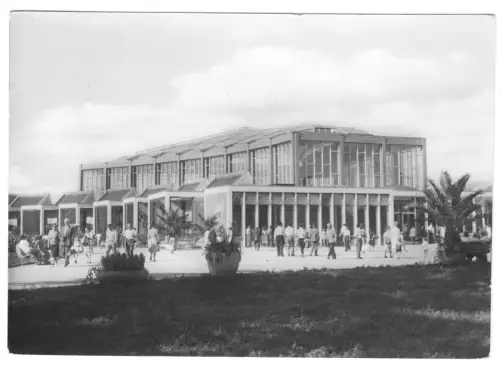 AK, Berlin Friedrichsfelde, Tierpark, Alfred-Brehm-Haus, 1965