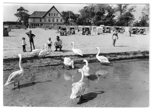 AK, Ostseebad Boltenhagen, Strand mit "Erholungsheim am Strand", belebt, 1976