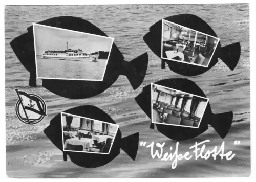 AK, Stralsund, Weiße Flotte, vier Abb., gestaltet, 1965