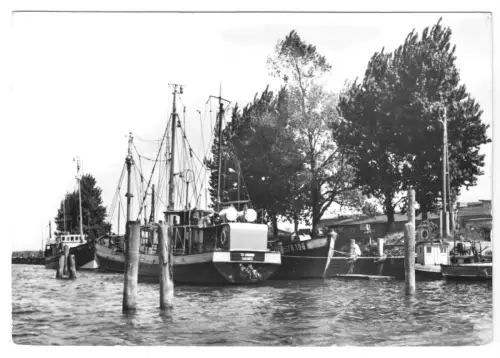 AK, Gager Rügen, Bootswerft mit Fischkuttern, 1977