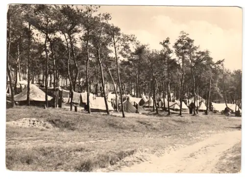 AK, Altenkirchen Rügen, Zeltplatz Drewoldke, 1965