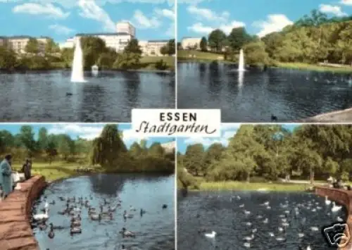 AK, Essen, vier Abb., Stadtgarten, ca. 1972