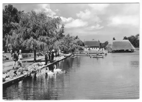 AK, Krakow am See, Kr. Güstrow Meckl., Seepromenade, belebt, 1967