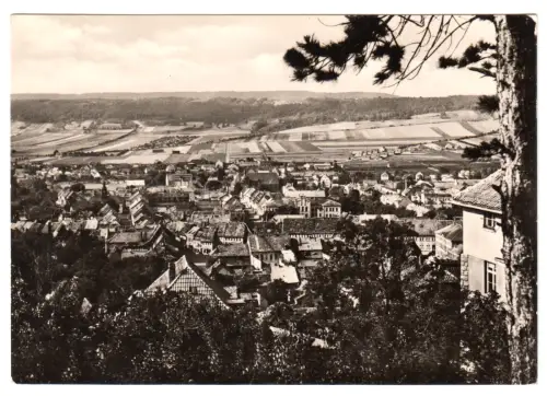 AK, Bad Frankenhausen Kyffh., Stadtblick von der Karnstedtstr., 1963