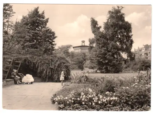 AK, Halle Saale, Partie im Leninpark, Kinderwagen, 1961