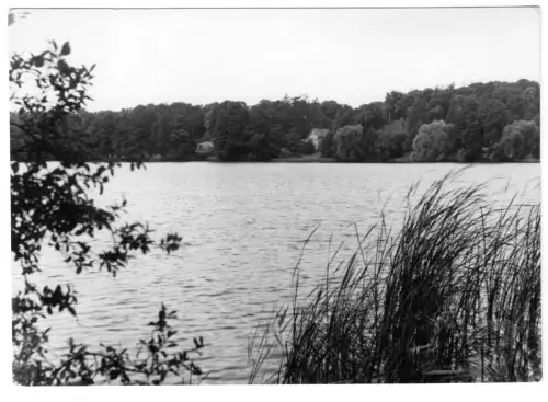 AK, Seddin Kr. Potsdam, Partie am Seddiner See, 1963