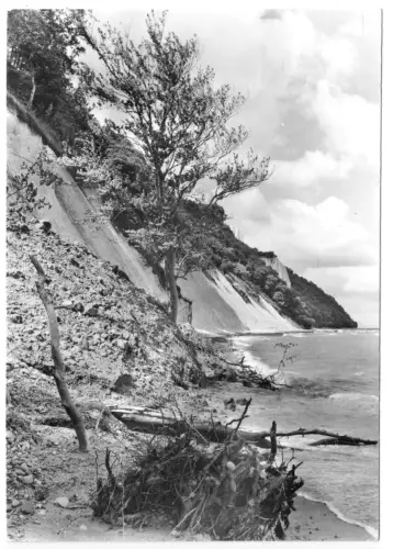 AK, Insel Rügen, Kreidesteilküste Stubbenkammer, Strandgut, 1978