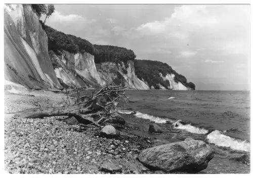AK, Insel Rügen, Kreidesteilküste Stubbenkammer, Strandgut, 1981