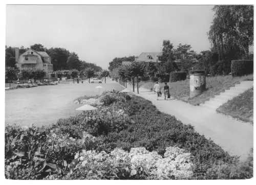 AK, Baabe Rügen, Promenade, Version 4, 1965